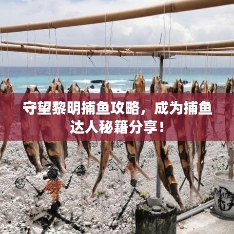 守望黎明捕鱼攻略，成为捕鱼达人秘籍分享！