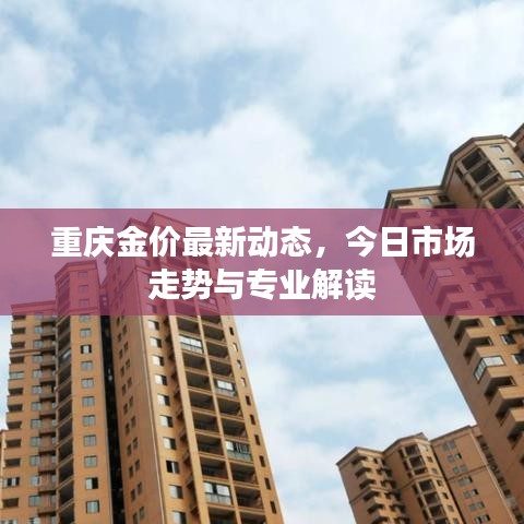 重庆金价最新动态，今日市场走势与专业解读