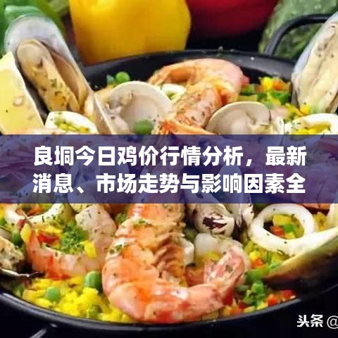 良垌今日鸡价行情分析，最新消息、市场走势与影响因素全解析