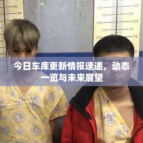 今日车库更新情报速递，动态一览与未来展望