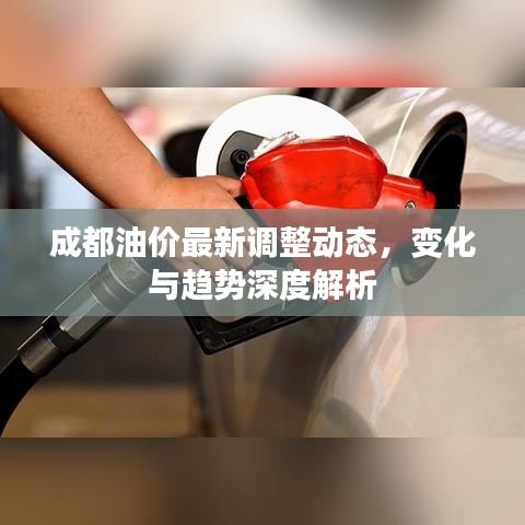 成都油价最新调整动态，变化与趋势深度解析