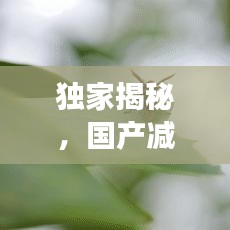 独家揭秘，国产减肥蜂蜜TOP10排行榜，优质蜜露助你轻松塑造窈窕身姿