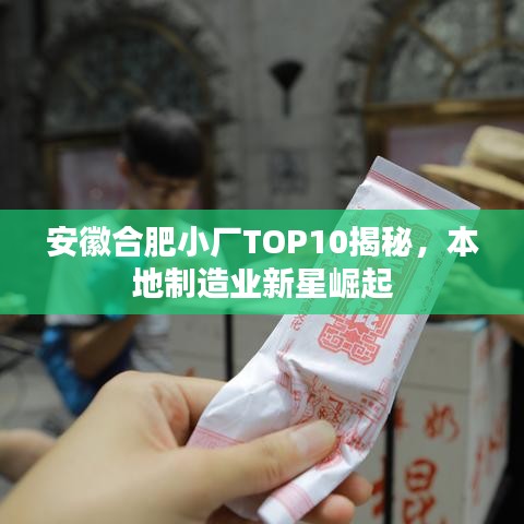 安徽合肥小厂TOP10揭秘，本地制造业新星崛起