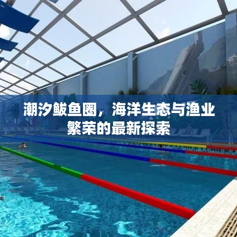 潮汐鲅鱼圈，海洋生态与渔业繁荣的最新探索