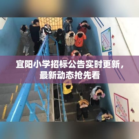 宜阳小学招标公告实时更新，最新动态抢先看