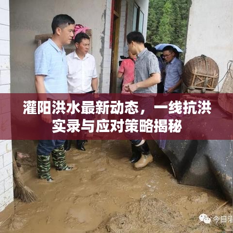 灌阳洪水最新动态，一线抗洪实录与应对策略揭秘