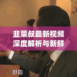 韭菜叔最新视频深度解析与新鲜观察，揭秘背后的故事！