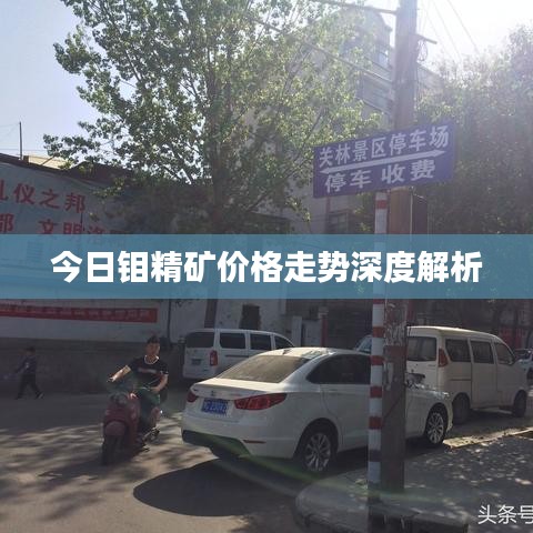 今日钼精矿价格走势深度解析