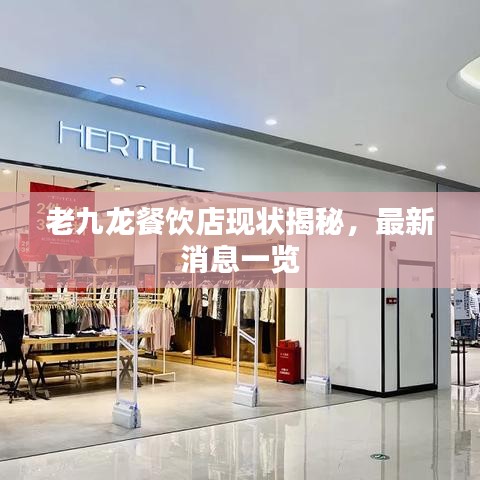 老九龙餐饮店现状揭秘，最新消息一览