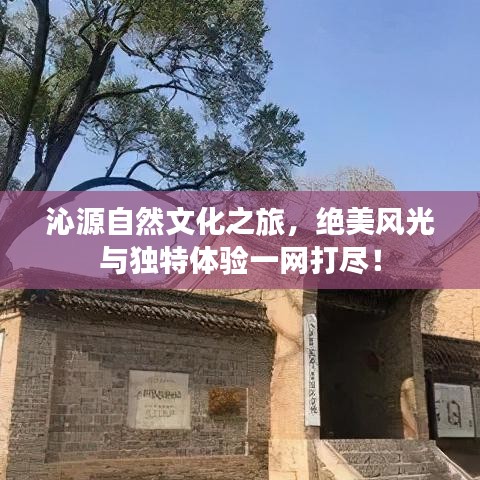 沁源自然文化之旅，绝美风光与独特体验一网打尽！