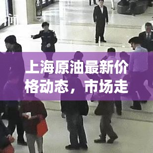 上海原油最新价格动态，市场走势、影响因素及未来展望