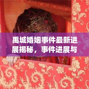 禹城婚姻事件最新进展揭秘，事件进展与各方反应深度解读