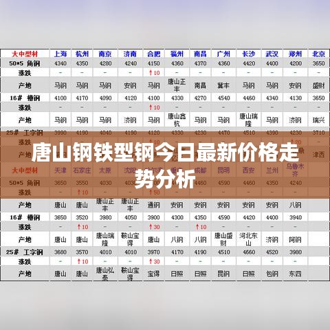 随方就圆