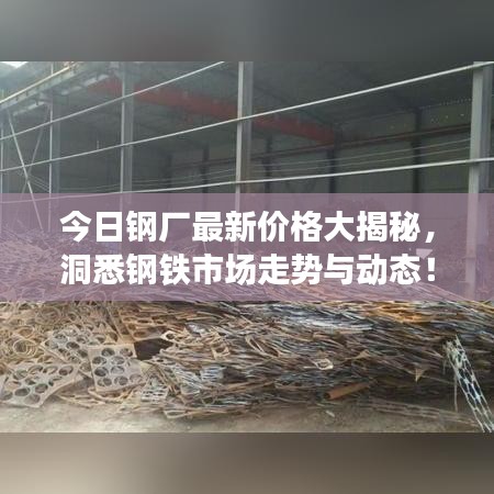 今日钢厂最新价格大揭秘，洞悉钢铁市场走势与动态！