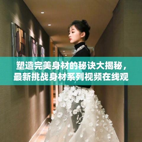 塑造完美身材的秘诀大揭秘，最新挑战身材系列视频在线观看，行动指南助你逆袭！