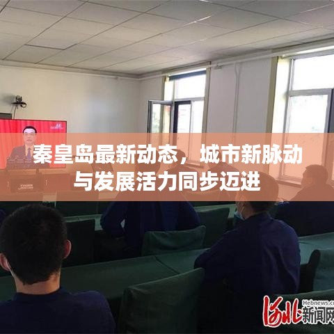 秦皇岛最新动态，城市新脉动与发展活力同步迈进