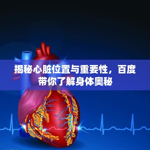 揭秘心脏位置与重要性，百度带你了解身体奥秘