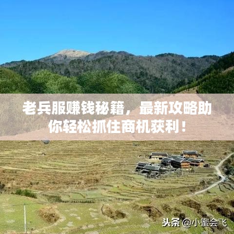 老兵服赚钱秘籍，最新攻略助你轻松抓住商机获利！