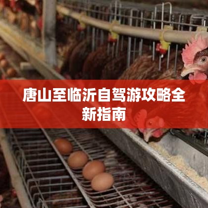 唐山至临沂自驾游攻略全新指南
