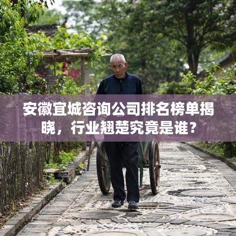 安徽宜城咨询公司排名榜单揭晓，行业翘楚究竟是谁？