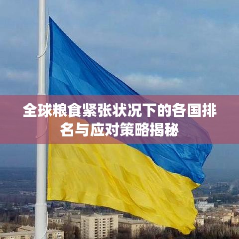 全球粮食紧张状况下的各国排名与应对策略揭秘