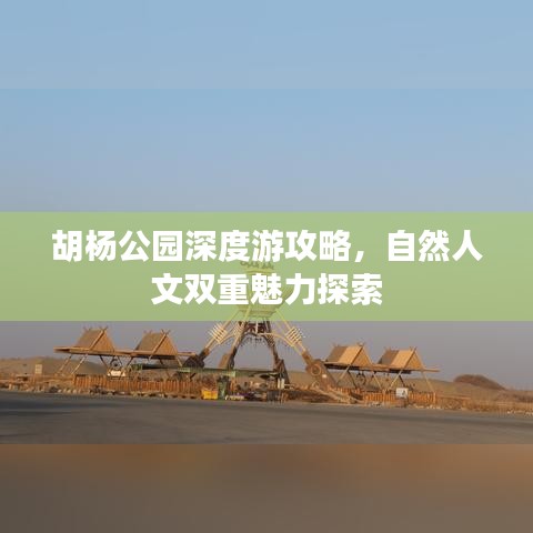胡杨公园深度游攻略，自然人文双重魅力探索