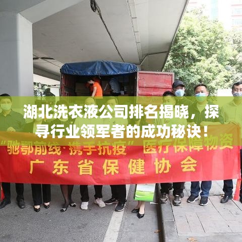 湖北洗衣液公司排名揭晓，探寻行业领军者的成功秘诀！