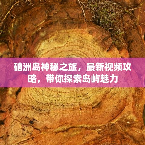 硇洲岛神秘之旅，最新视频攻略，带你探索岛屿魅力