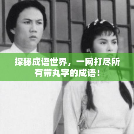 探秘成语世界，一网打尽所有带丸字的成语！