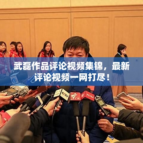 武磊作品评论视频集锦，最新评论视频一网打尽！