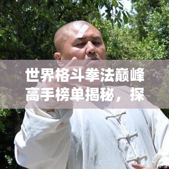 世界格斗拳法巅峰高手榜单揭秘，探寻武术传奇人物的极致之旅