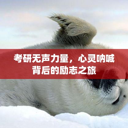 考研无声力量，心灵呐喊背后的励志之旅