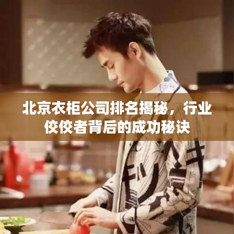 北京衣柜公司排名揭秘，行业佼佼者背后的成功秘诀