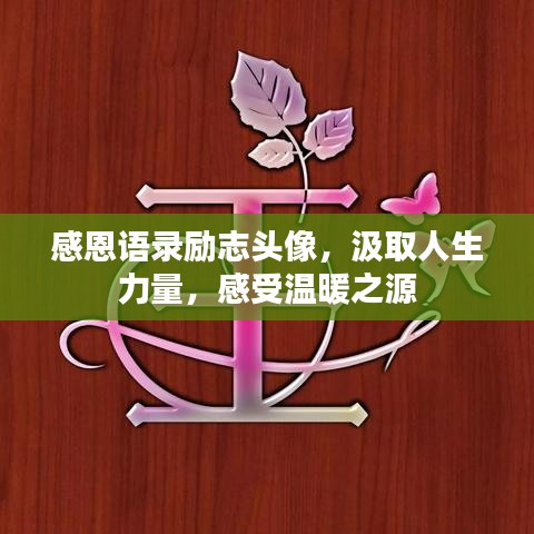 感恩语录励志头像，汲取人生力量，感受温暖之源