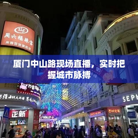 2025年6月15日 第3页