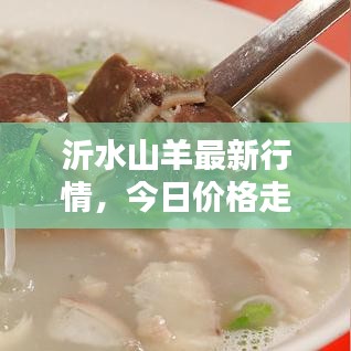 沂水山羊最新行情，今日价格走势及分析