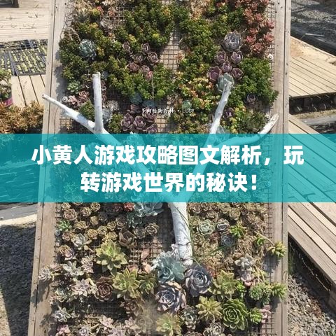 小黄人游戏攻略图文解析，玩转游戏世界的秘诀！