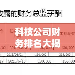 科技公司财务排名大揭秘，行业巨头背后的财务力量比拼！