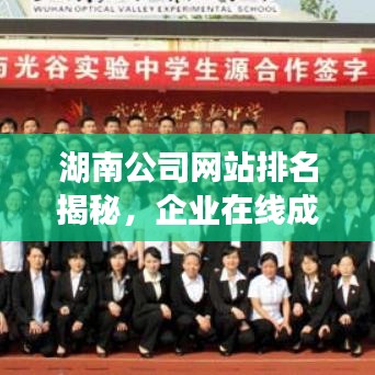 湖南公司网站排名揭秘，企业在线成功的秘诀探索