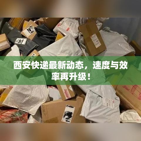 西安快递最新动态，速度与效率再升级！