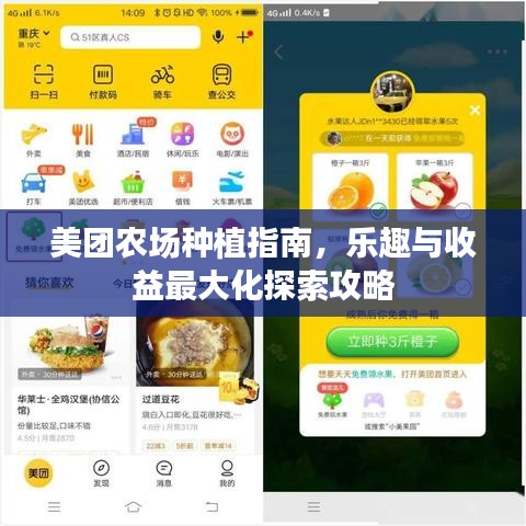 美团农场种植指南，乐趣与收益最大化探索攻略