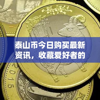 泰山币今日购买最新资讯，收藏爱好者的首选投资对象