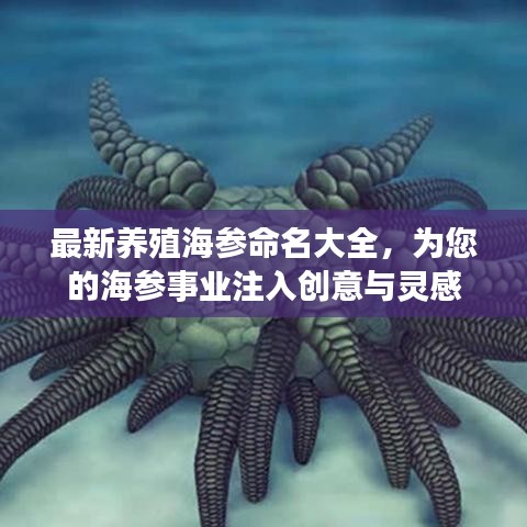 手不释卷