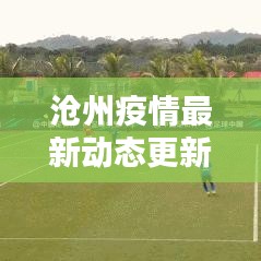 沧州疫情最新动态更新