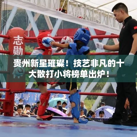 贵州新星璀璨！技艺非凡的十大散打小将榜单出炉！