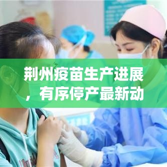 荆州疫苗生产进展，有序停产最新动态揭秘