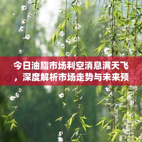 今日油脂市场利空消息满天飞，深度解析市场走势与未来预测