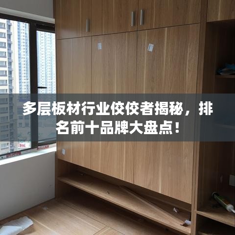 多层板材行业佼佼者揭秘，排名前十品牌大盘点！