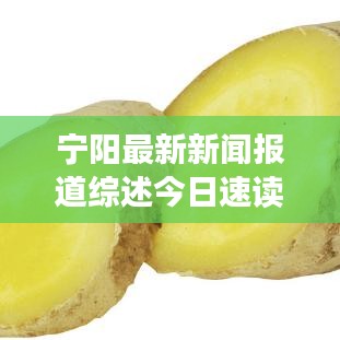 宁阳最新新闻报道综述今日速读