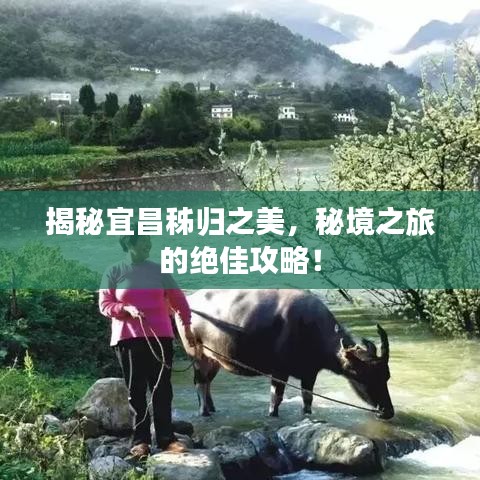 揭秘宜昌秭归之美，秘境之旅的绝佳攻略！